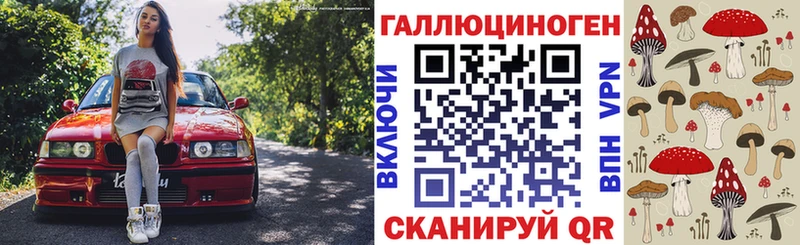 Псилоцибиновые грибы Psilocybe  Починок 